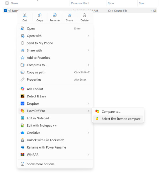 The ExamDiff Pro menu in Windows Explorer